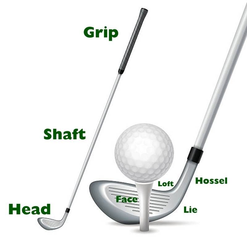 Essential components of a golf club